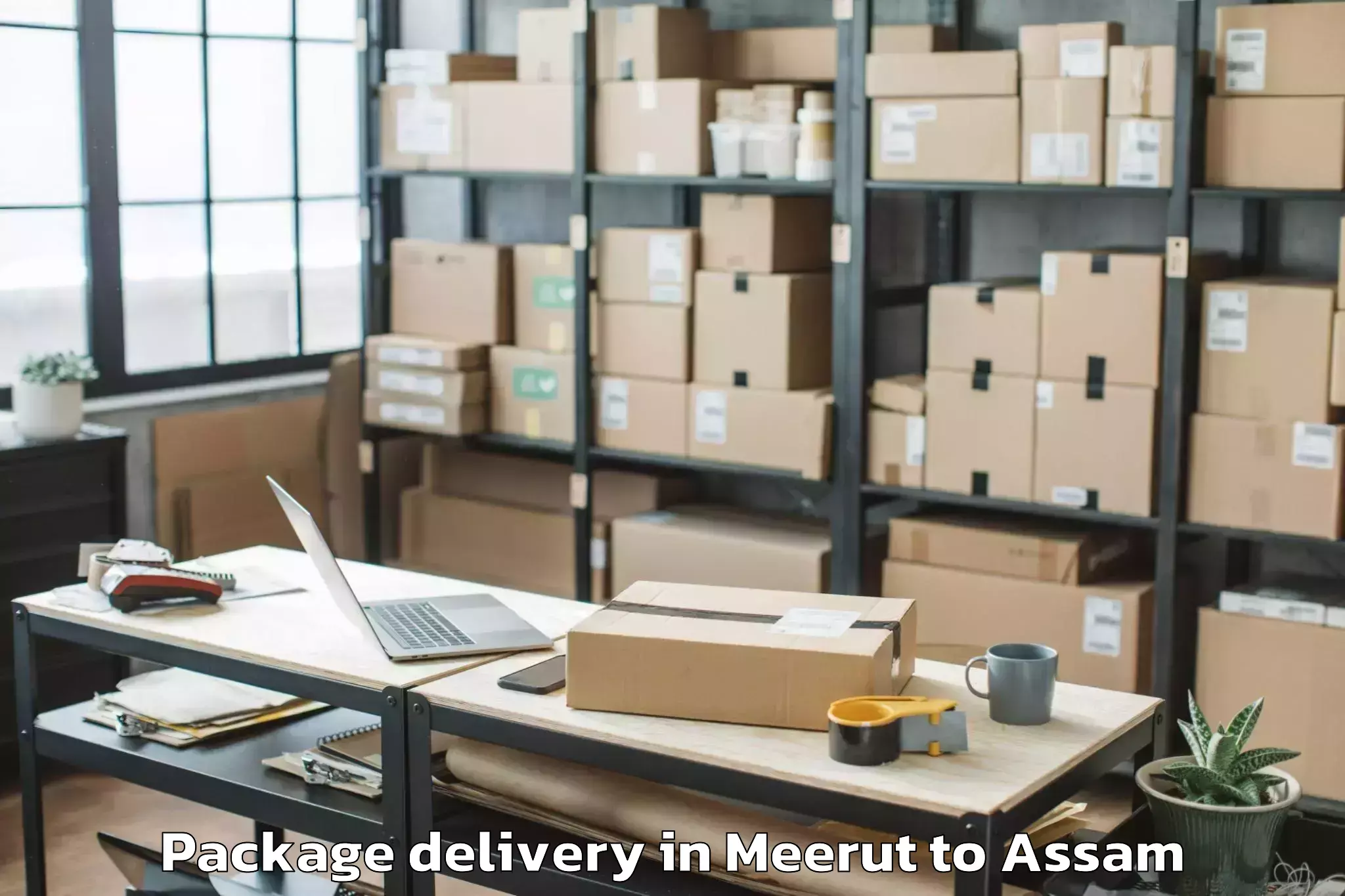 Book Meerut to Rangia Package Delivery Online